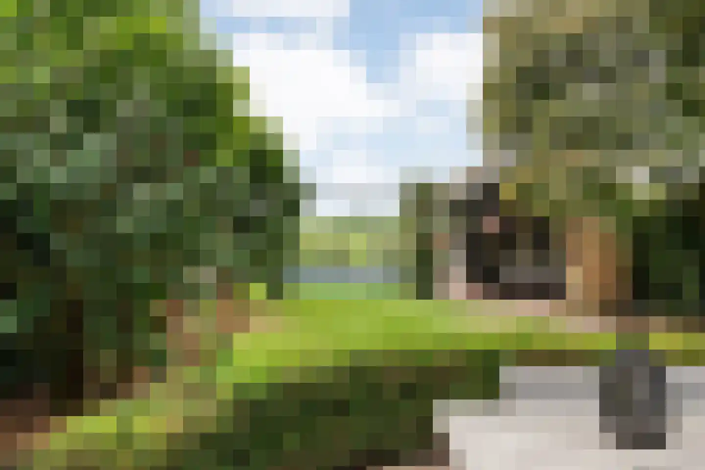 Horstra's wijk 9 De Krim thumbnail 49