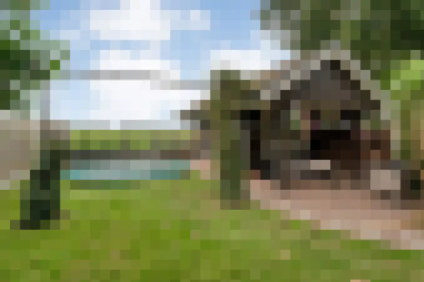 Horstra's wijk 9 De Krim thumbnail 50