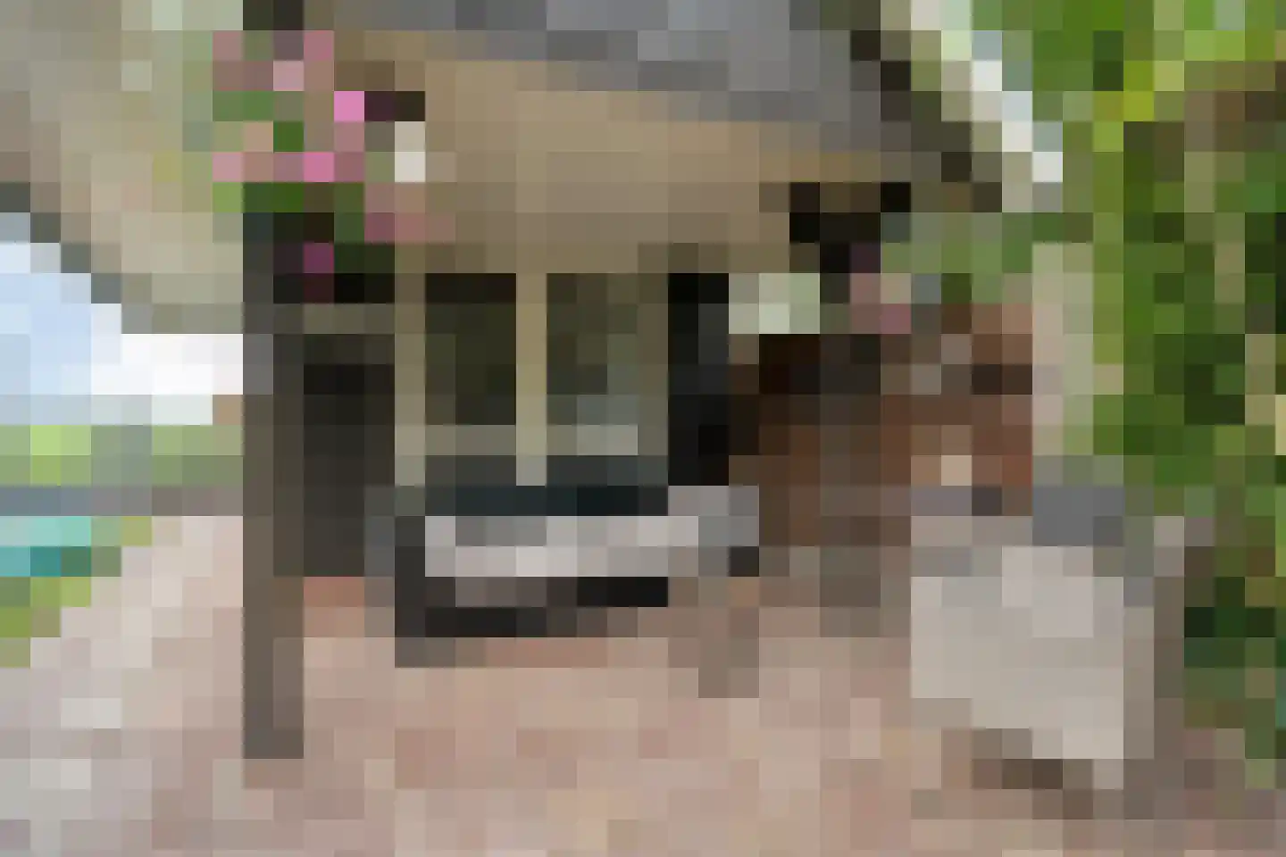 Horstra's wijk 9 De Krim thumbnail 51
