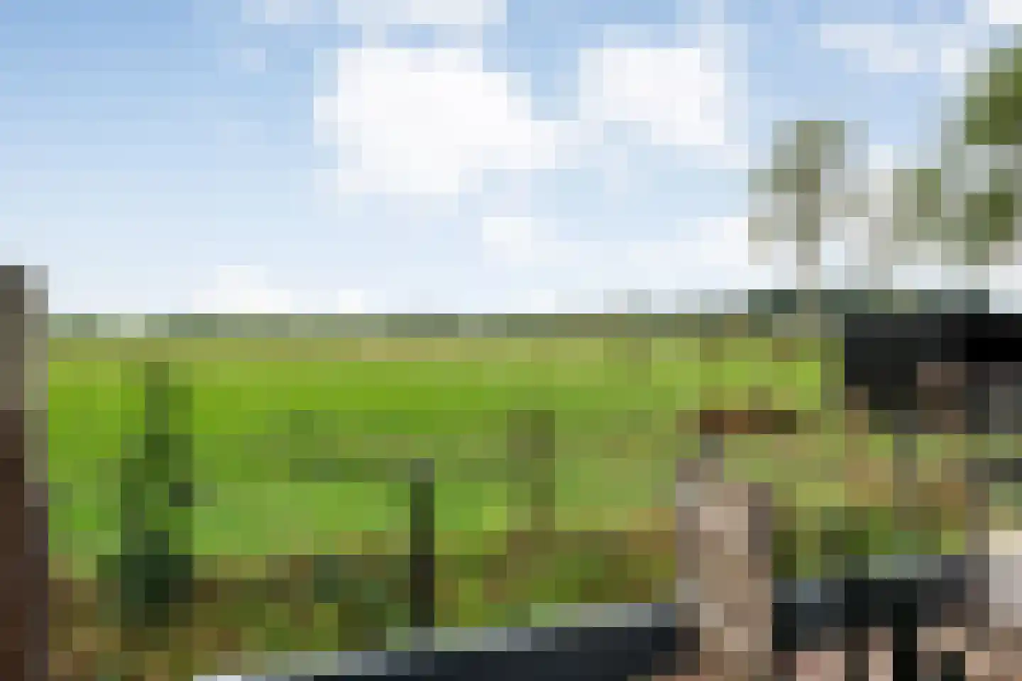 Horstra's wijk 9 De Krim thumbnail 54