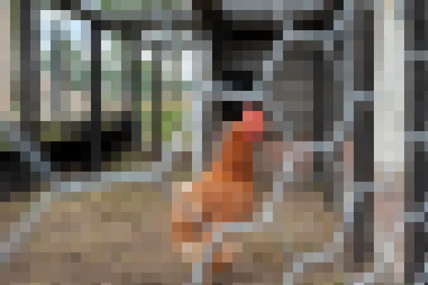 Horstra's wijk 9 De Krim thumbnail 56