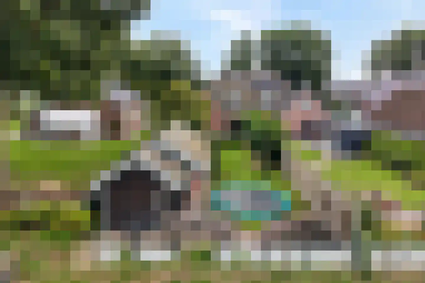 Horstra's wijk 9 De Krim thumbnail 57