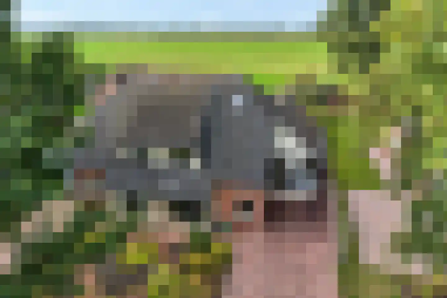 Horstra's wijk 9 De Krim thumbnail 63