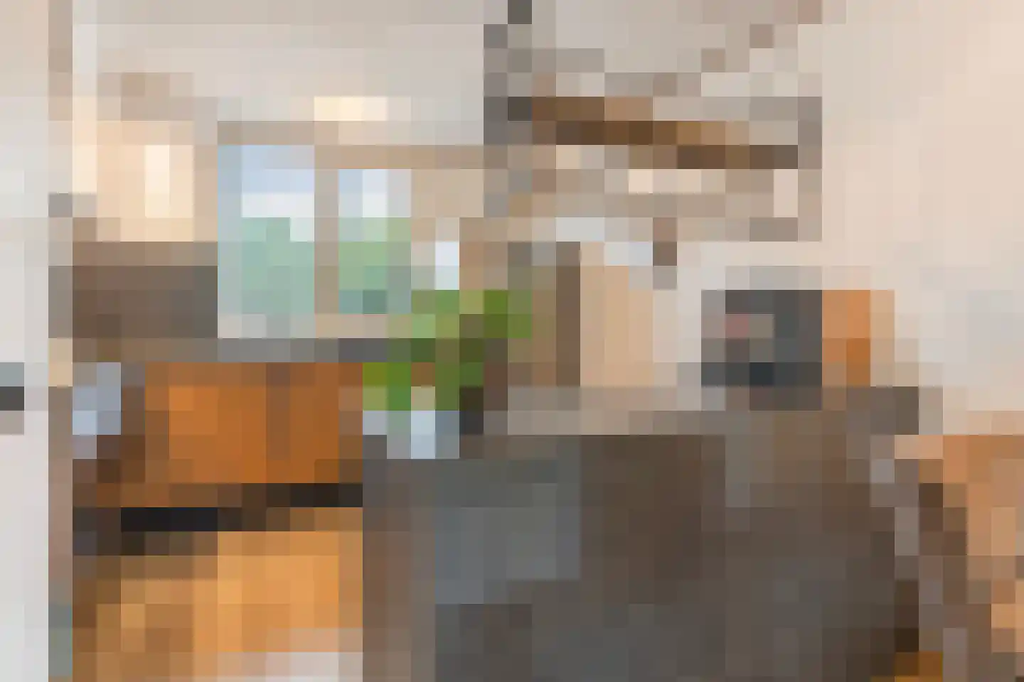 Horststraat 11 Arnhem thumbnail 14