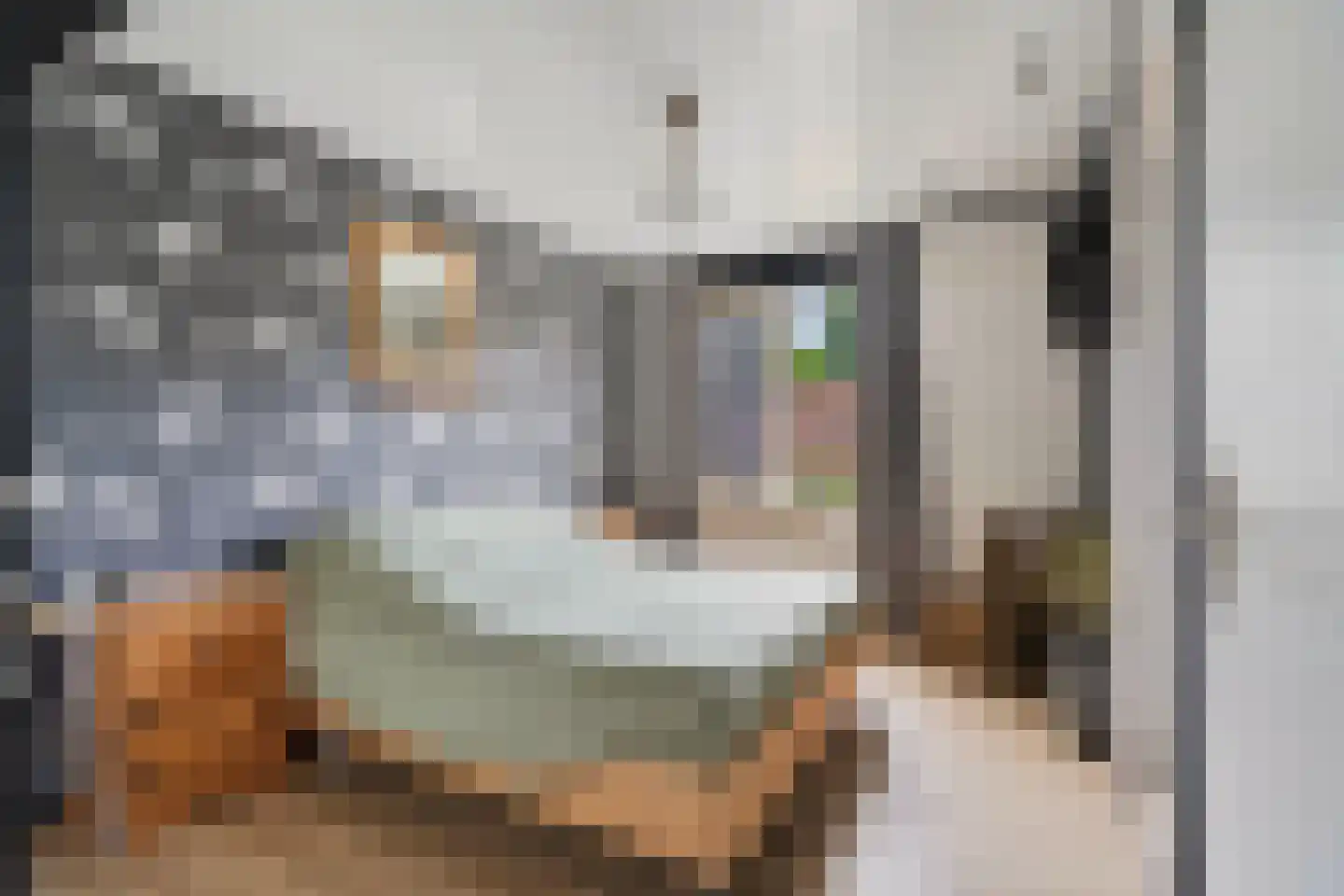 Horststraat 11 Arnhem thumbnail 19