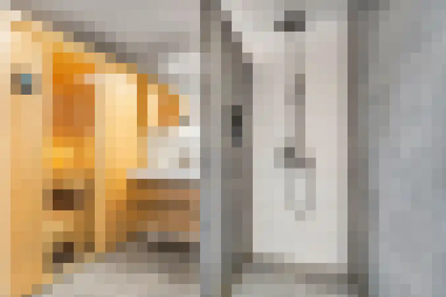 Horststraat 11 Arnhem thumbnail 21