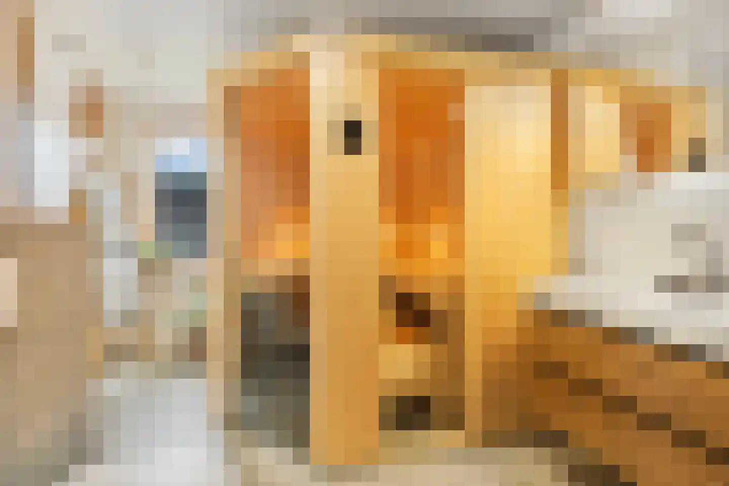 Horststraat 11 Arnhem thumbnail 22