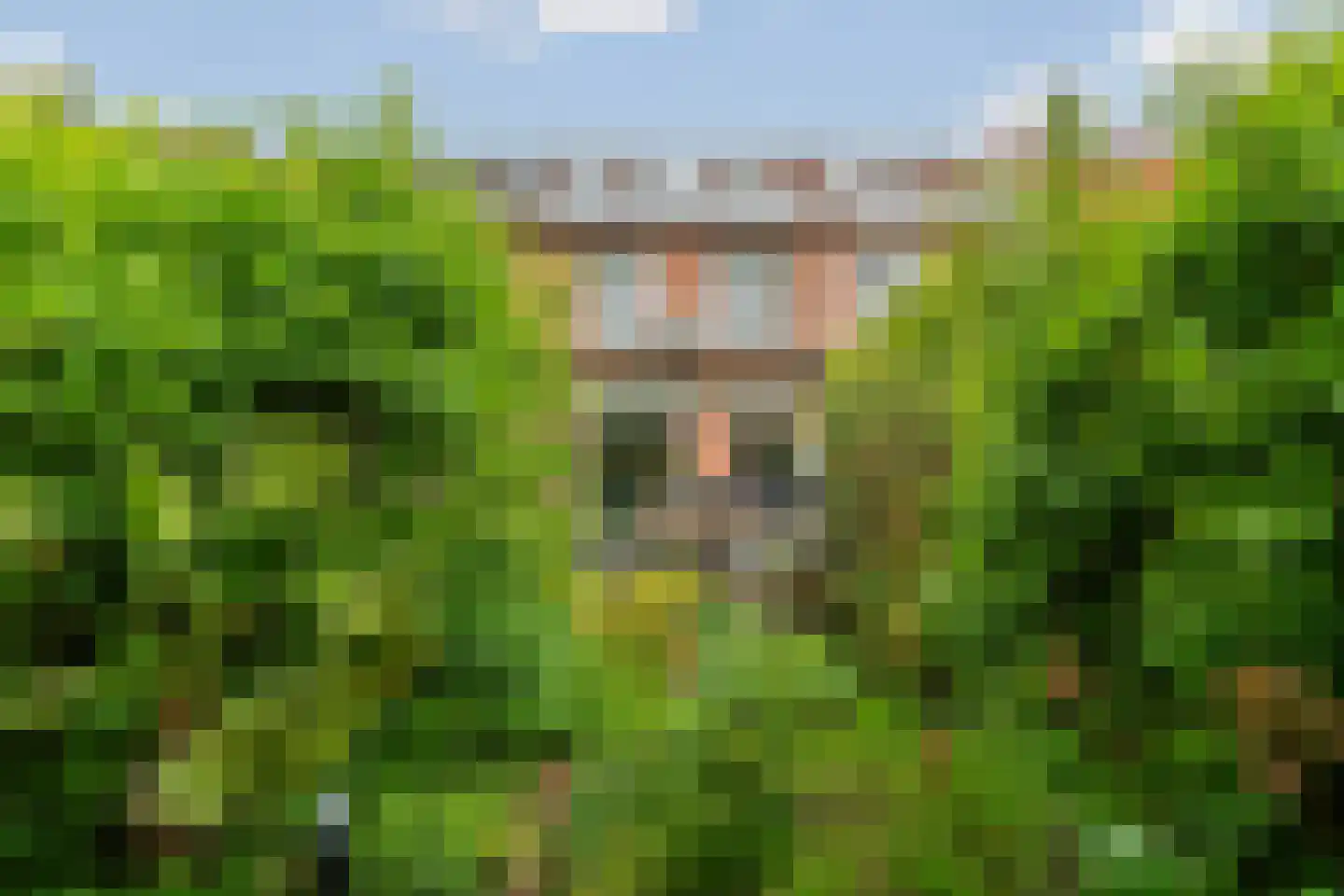 Horststraat 11 Arnhem thumbnail 32