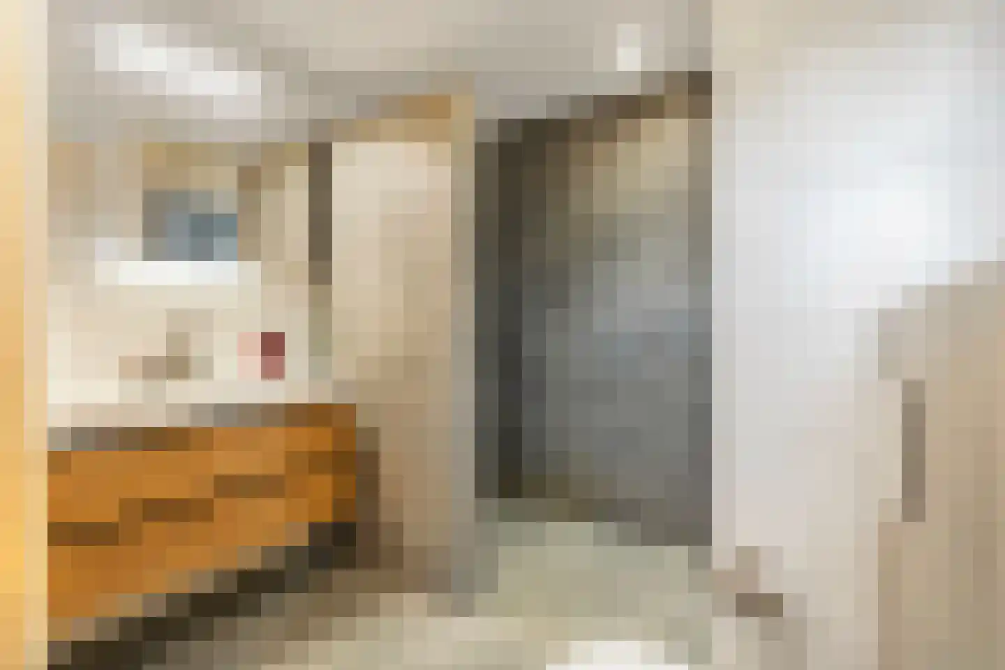 Horststraat 11 Arnhem thumbnail 4