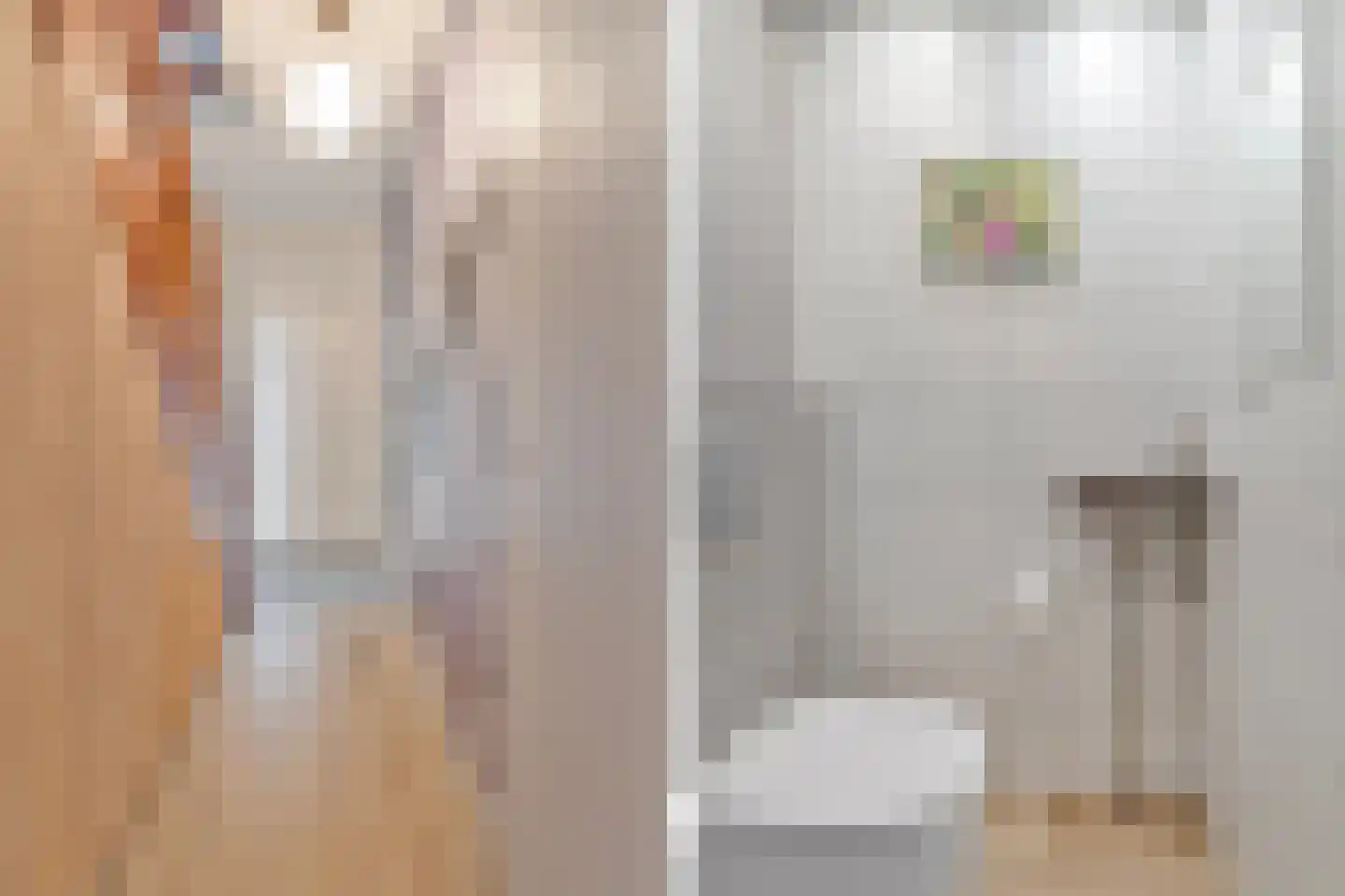 Horststraat 11 Arnhem thumbnail 7
