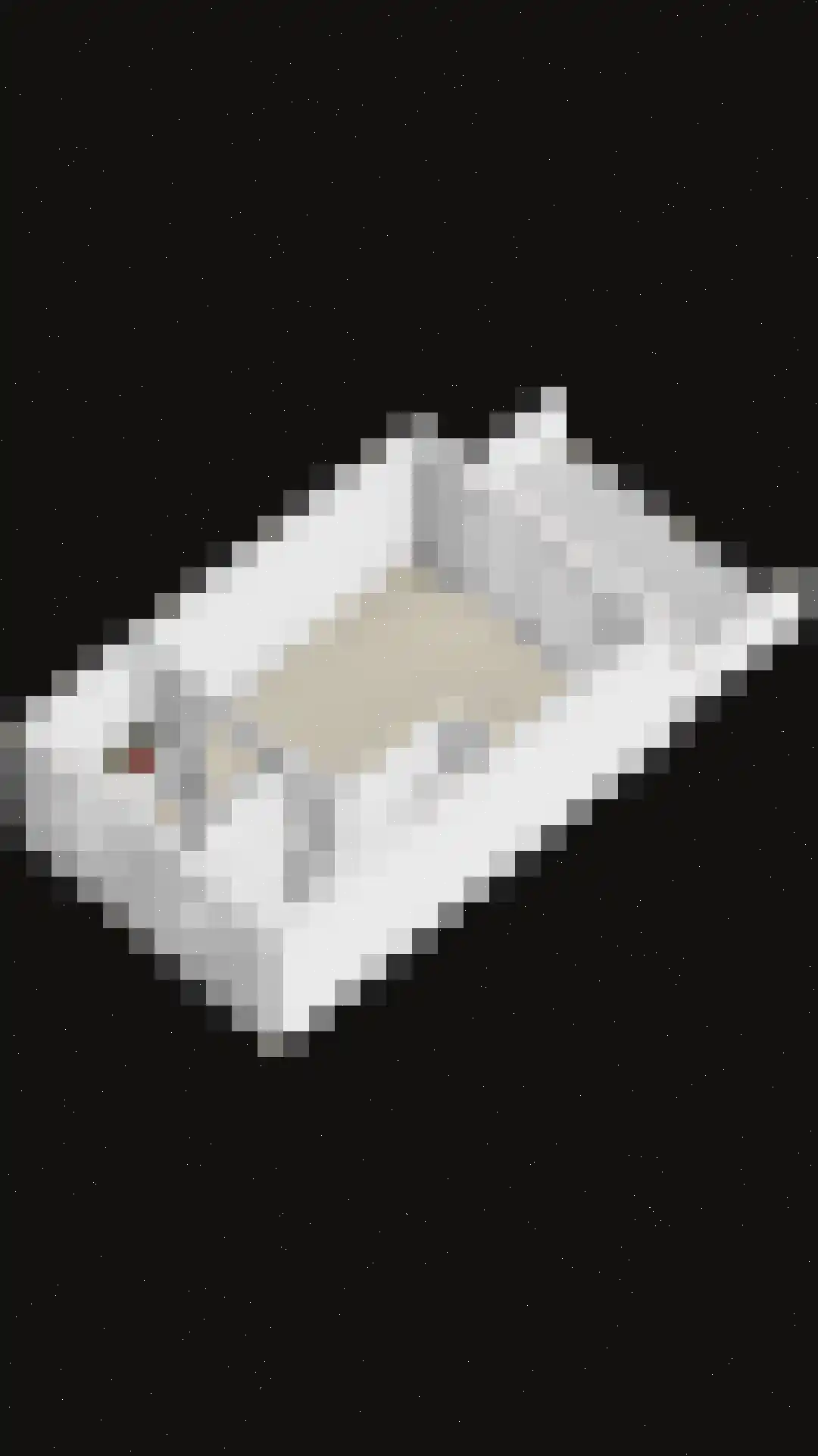 Horststraat 6 Arnhem thumbnail 42