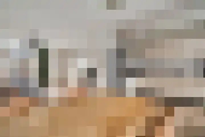 Horstveld 20 Heythuysen thumbnail 10