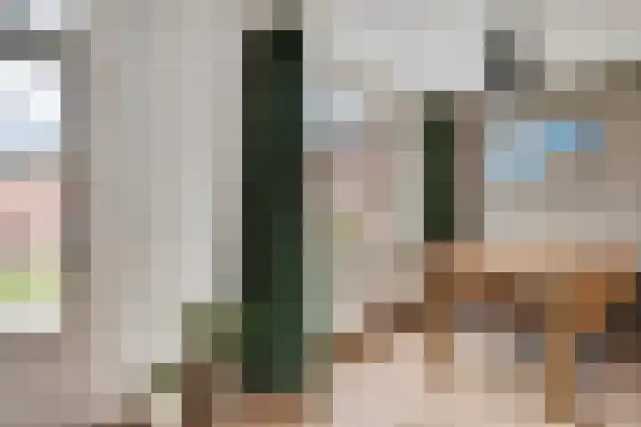 Horstveld 20 Heythuysen thumbnail 12