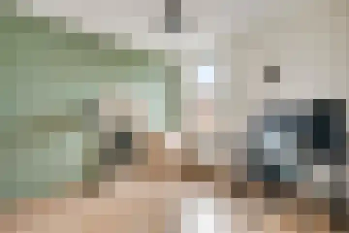 Horstveld 20 Heythuysen thumbnail 15