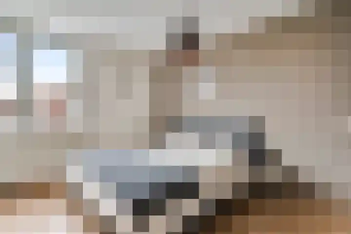 Horstveld 20 Heythuysen thumbnail 17