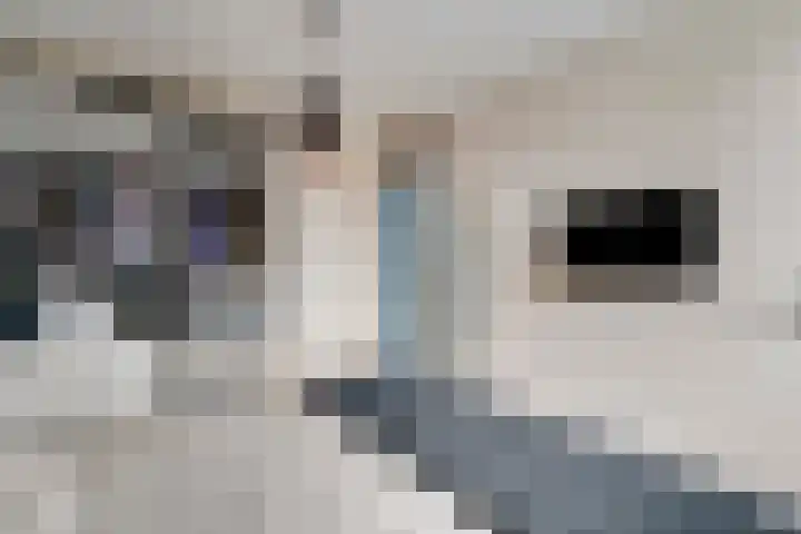 Horstveld 20 Heythuysen thumbnail 18