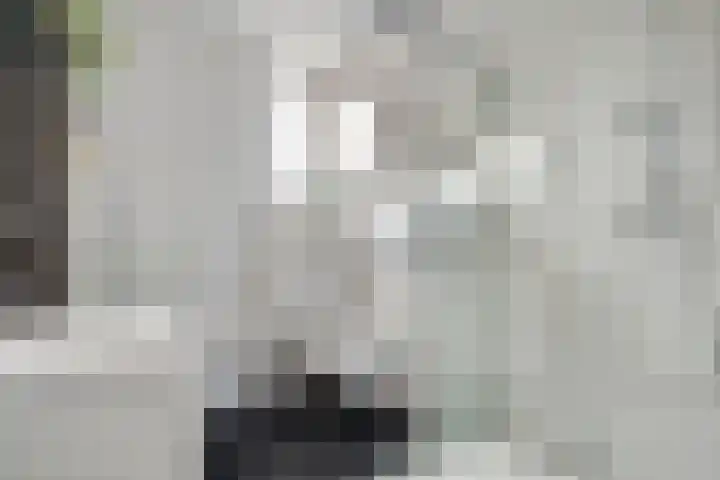 Horstveld 20 Heythuysen thumbnail 21