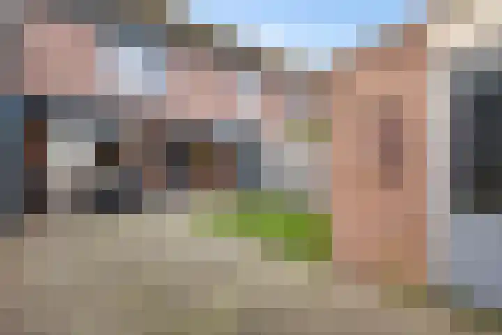 Horstveld 20 Heythuysen thumbnail 27
