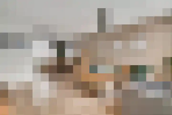 Horstveld 20 Heythuysen thumbnail 8