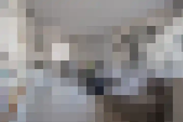 Horstveld 27 Heythuysen thumbnail 10