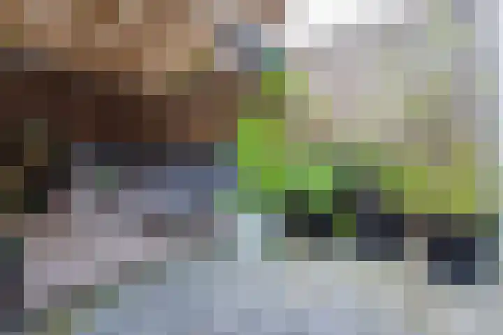 Horstveld 27 Heythuysen thumbnail 26