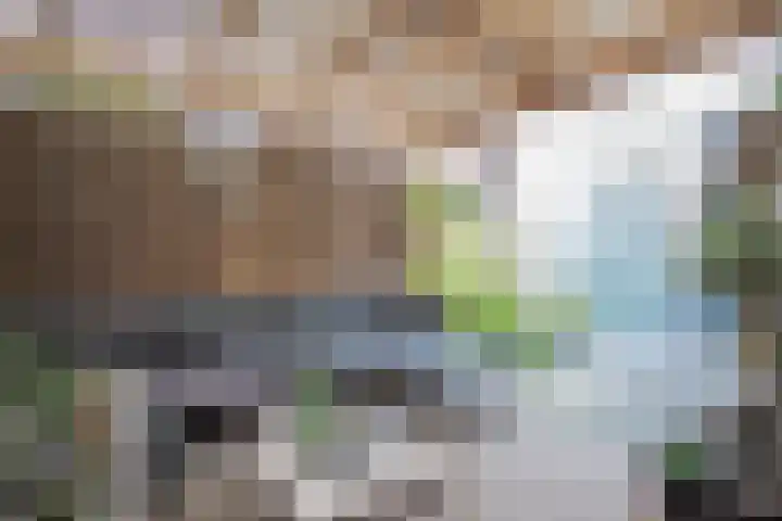Horstveld 27 Heythuysen thumbnail 29