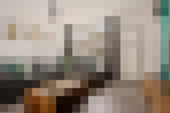 Horstveld 31 Heythuysen thumbnail 10