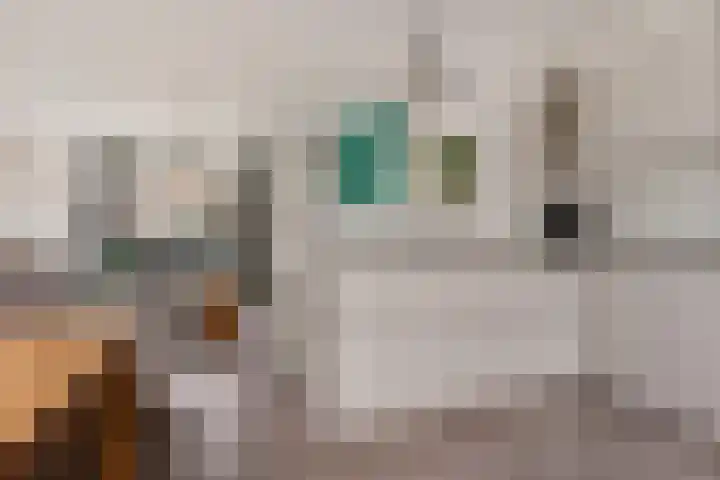 Horstveld 31 Heythuysen thumbnail 13