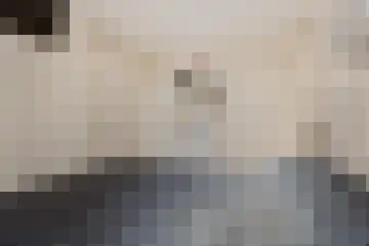 Horstveld 31 Heythuysen thumbnail 26