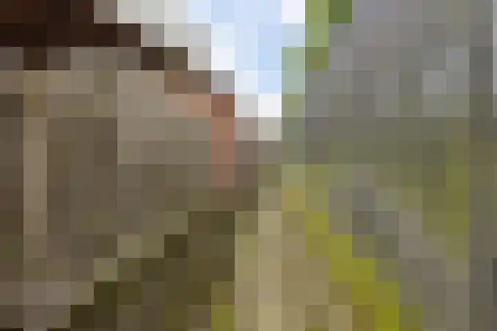 Horstveld 31 Heythuysen thumbnail 34