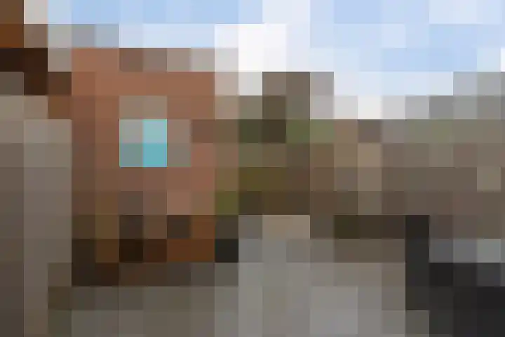 Horstveld 31 Heythuysen thumbnail 36