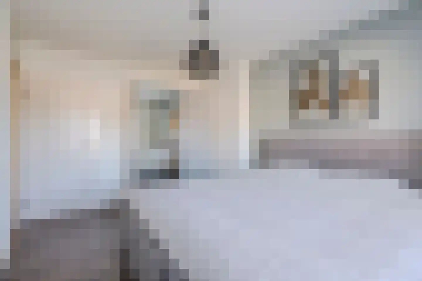 Horstveld 37 Eersel thumbnail 13