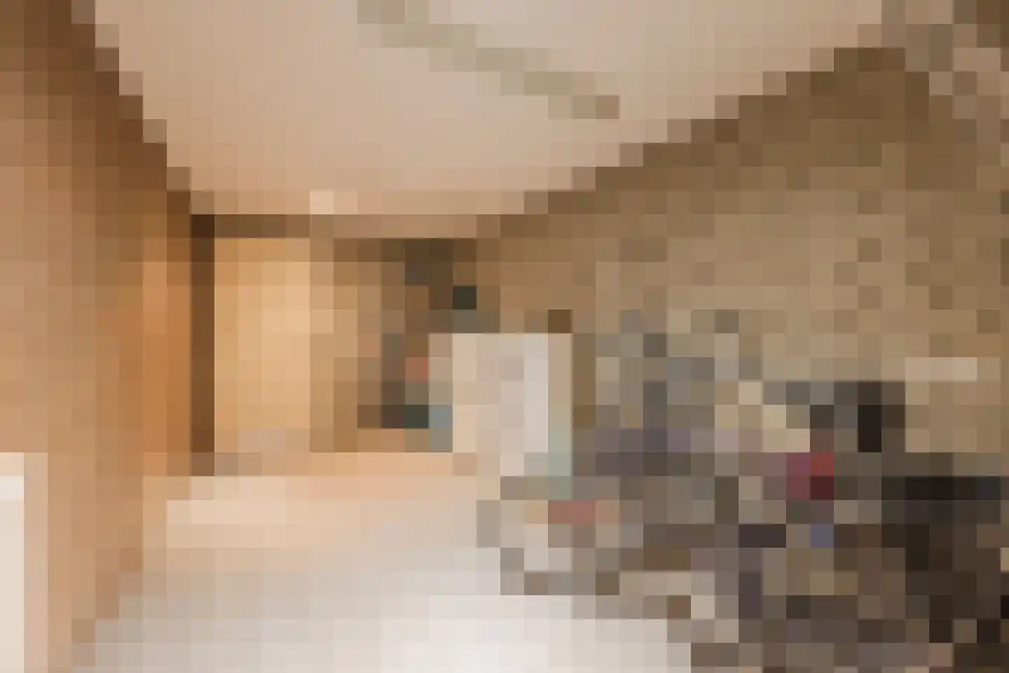 Horstveld 37 Eersel thumbnail 20