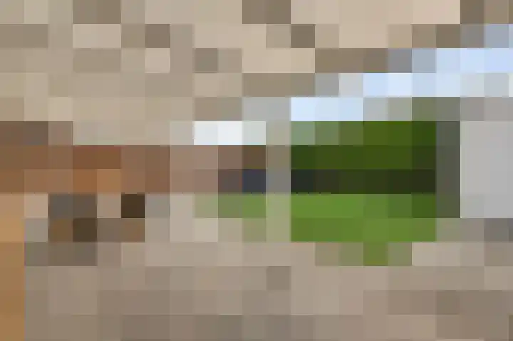 Horstveld 53 Heythuysen thumbnail 37