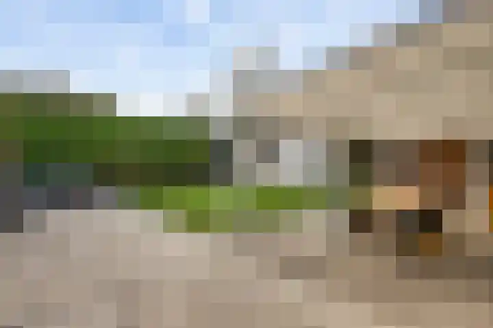 Horstveld 53 Heythuysen thumbnail 39