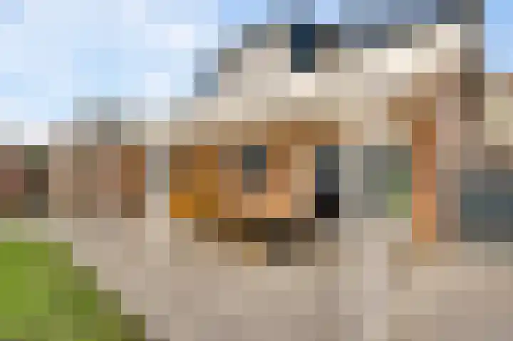 Horstveld 53 Heythuysen thumbnail 40
