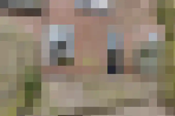 Horstveld 54 Heythuysen thumbnail 22