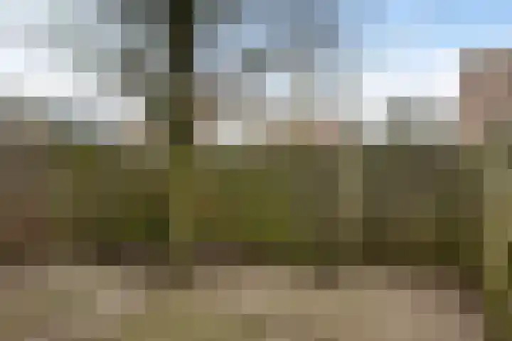 Horstveld 54 Heythuysen thumbnail 23