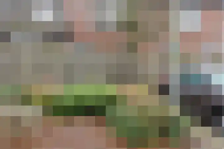 Horstveld 54 Heythuysen thumbnail 24