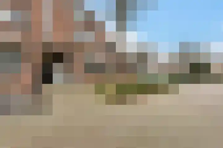 Horstveld 54 Heythuysen thumbnail 27