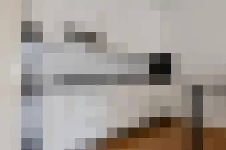 Horstveld 54 Heythuysen thumbnail 6