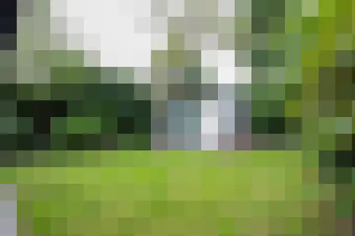 Horstveld 55 Heythuysen thumbnail 25