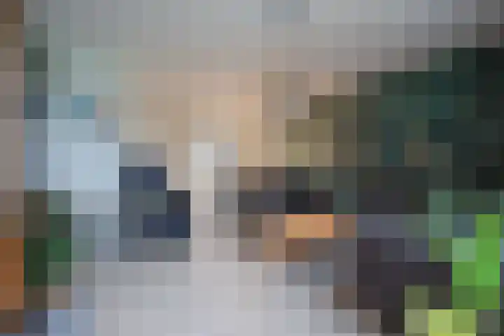 Horstveld 55 Heythuysen thumbnail 7