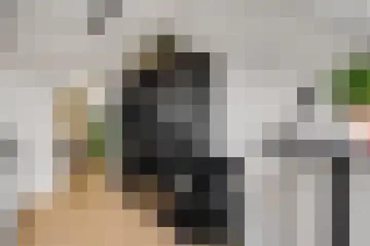 Horstveld 64 Heythuysen thumbnail 11