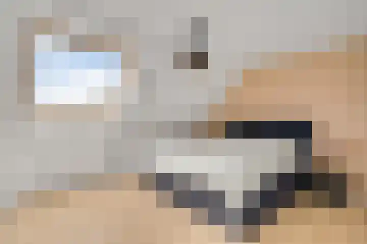 Horstveld 64 Heythuysen thumbnail 13