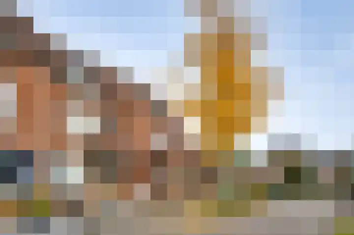 Horstveld 64 Heythuysen thumbnail 17