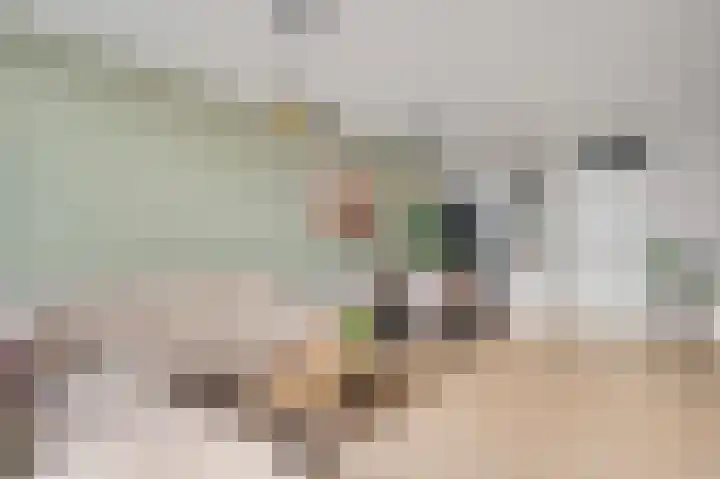 Horstveld 64 Heythuysen thumbnail 7