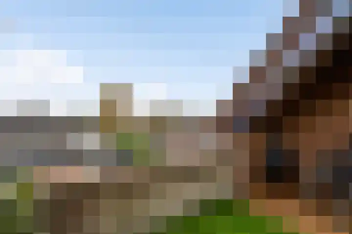Horstveld 64 Heythuysen thumbnail 9