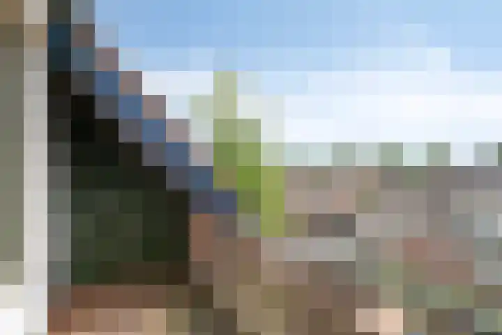 Horstveld 74 Heythuysen thumbnail 10