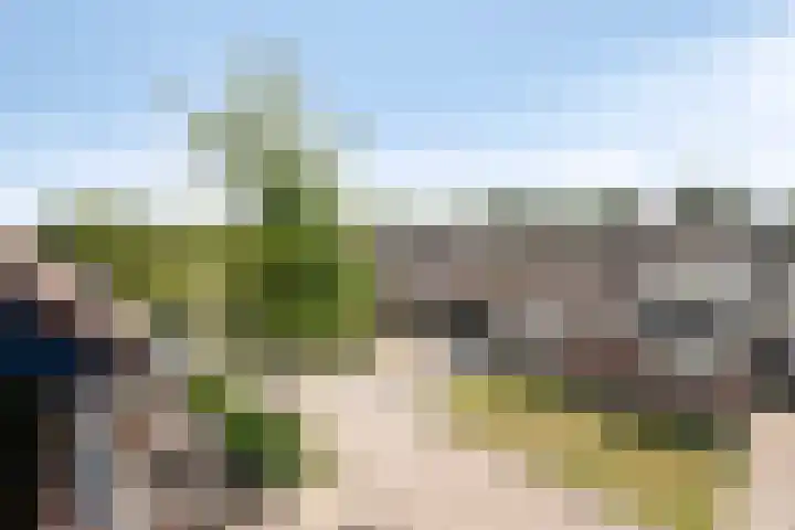 Horstveld 74 Heythuysen thumbnail 11